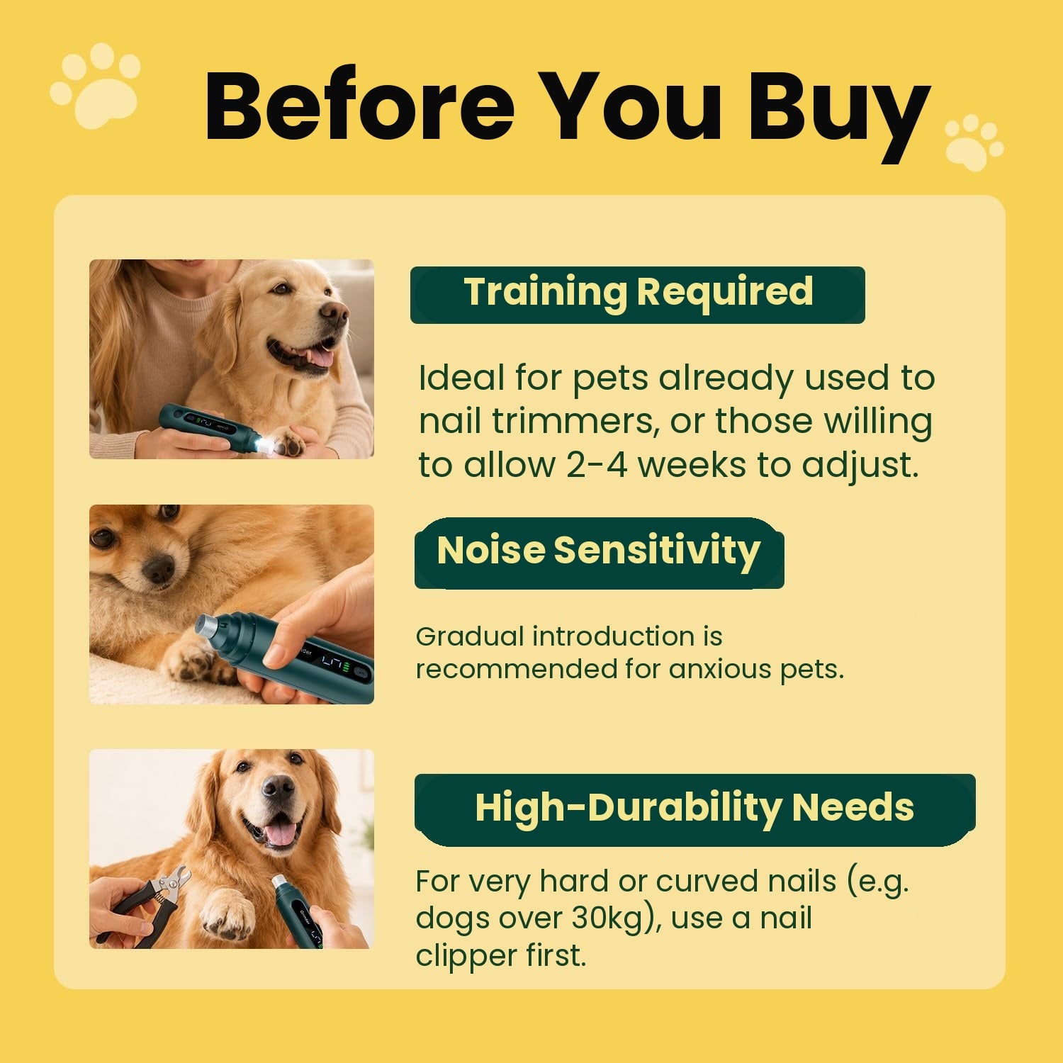 What to know before buying a dog nail grinder – PawFev safety guide