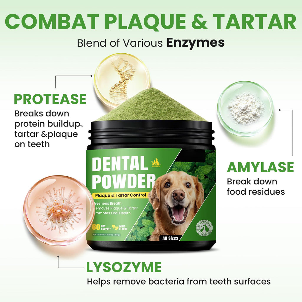 Close-up of PawFev dental cleaning powder texture for dogs and cats