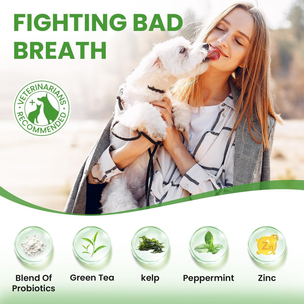 PawFev dog and cat dental powder benefits and how-to-use overview
