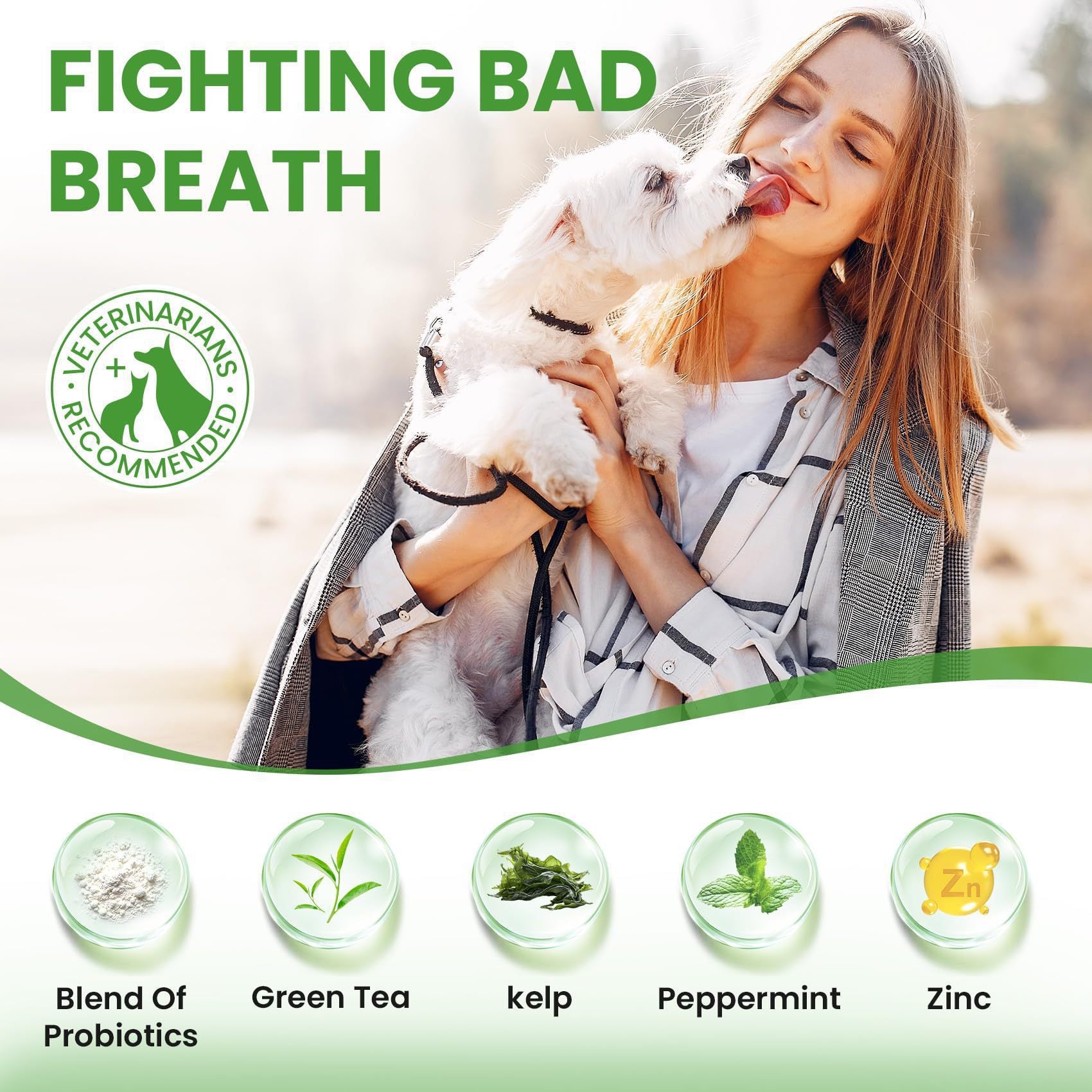 PawFev dog and cat dental powder benefits and how-to-use overview